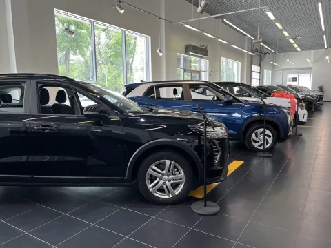 Аврора Шолохова