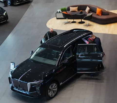 Hongqi, Панавто Сити