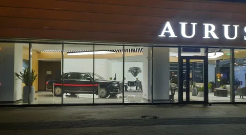 Панавто, Aurus