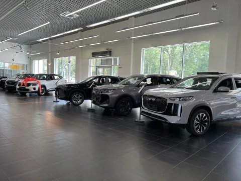 Аврора Шолохова