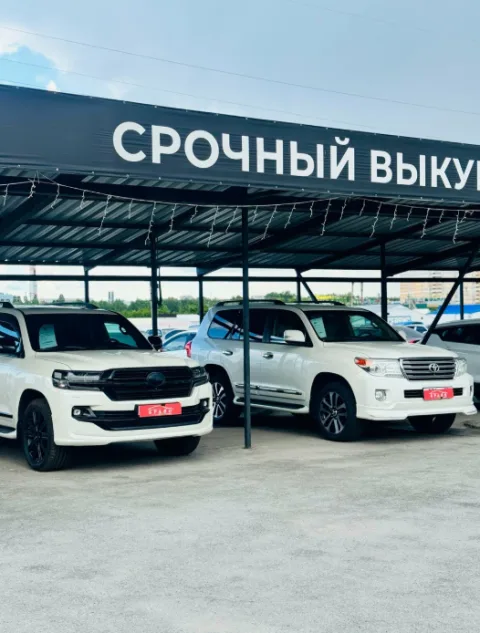Браво