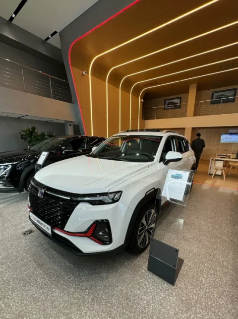 АвтоГЕРМЕС Рябиновая CHANGAN