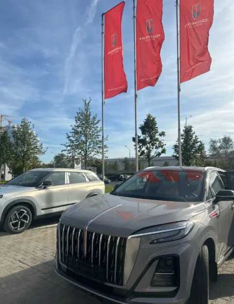 Hongqi Авилон Волгоградский