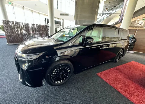 Hongqi, Панавто Запад
