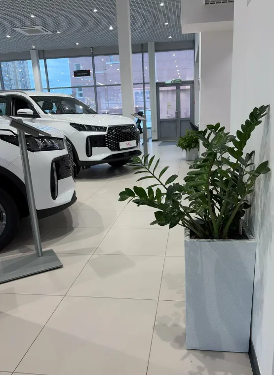 Автомир, Tenet
